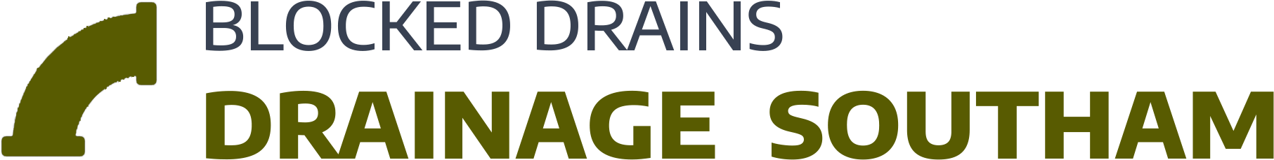 website logo